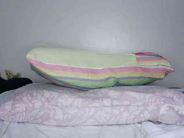 Sexxybhaddiea webcam