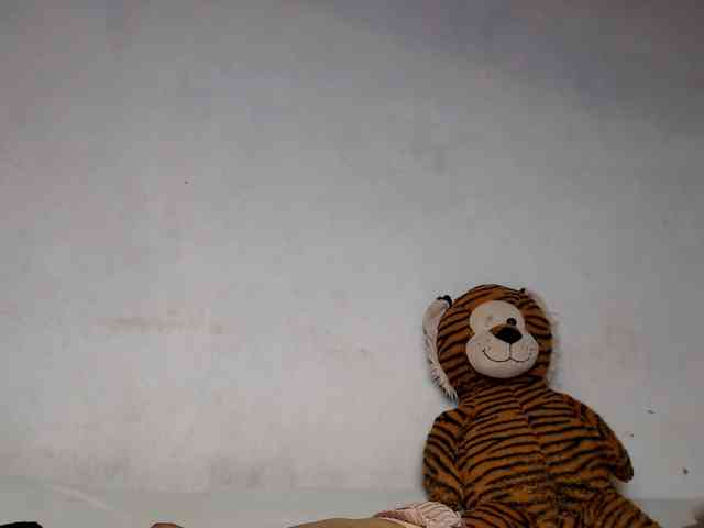 Pauliemarie webcam