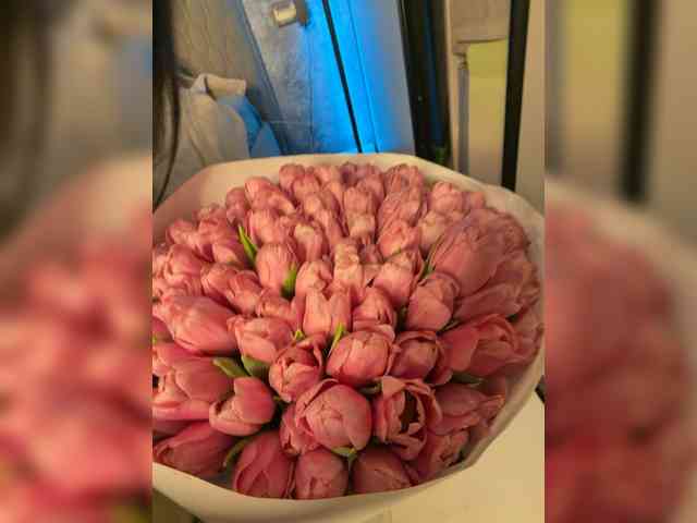 BabyfaceVixen1 BabyfaceVixen1