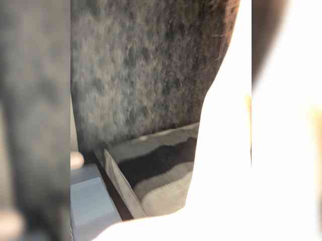 BabyfaceVixen1 webcam