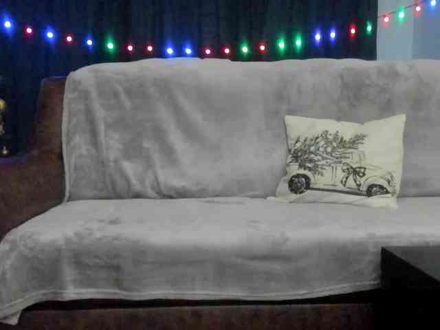 amiravyxen amiravyxen