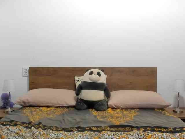 amiravyxen webcam