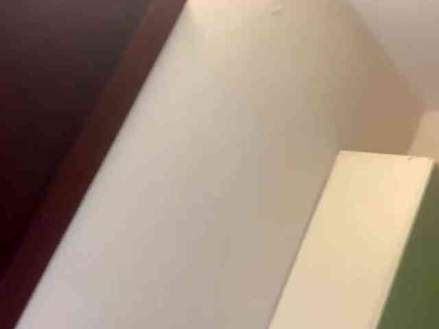 PartheniaOshima webcam