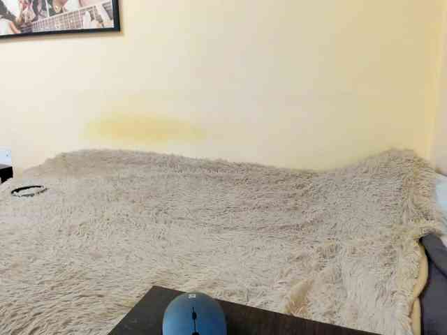 stroking_factory webcam