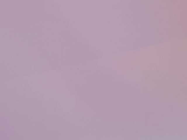 JennyX's BongaCams show and profile