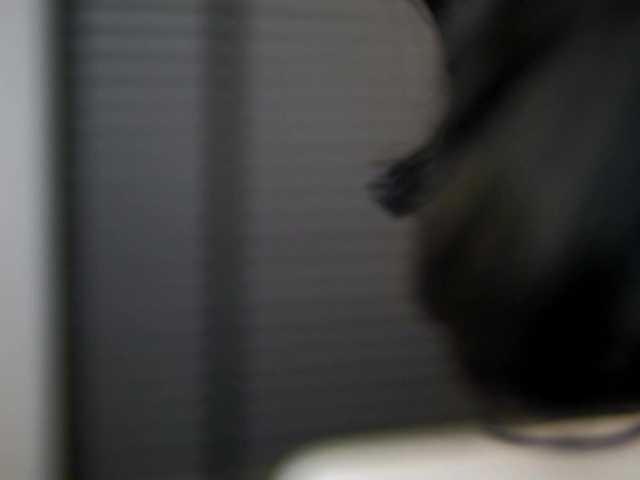 KylieKroft's BongaCams show and profile