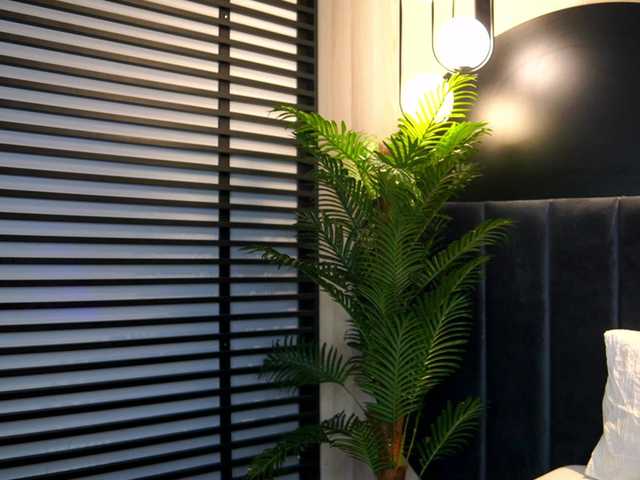 KylieKroft's BongaCams show and profile