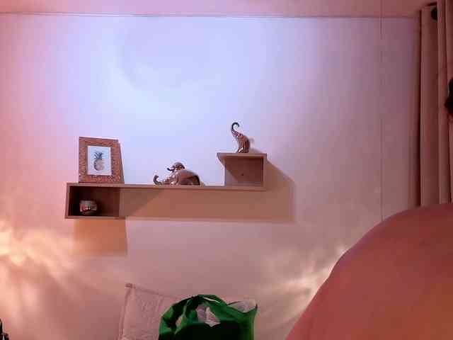 Iriina- webcam