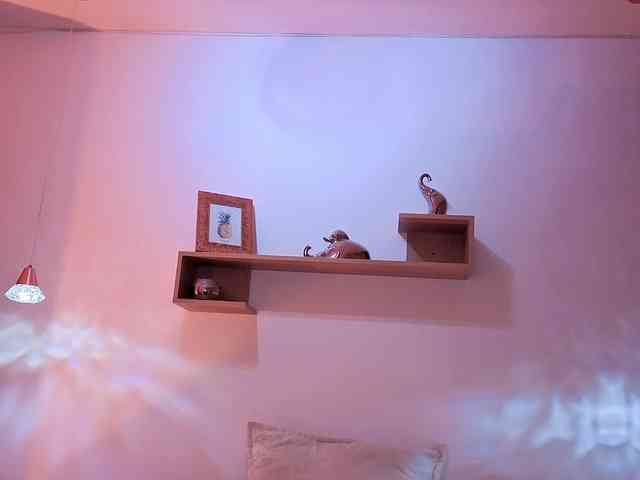 Iriina- webcam