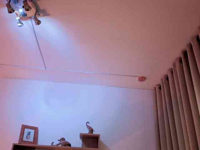 Iriina- webcam