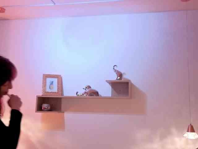 Iriina- webcam