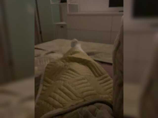 LilooAndstich webcam