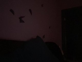 Lizzi-Peach Porn Show