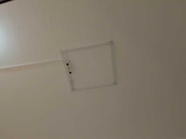 najwa's BongaCams show and profile