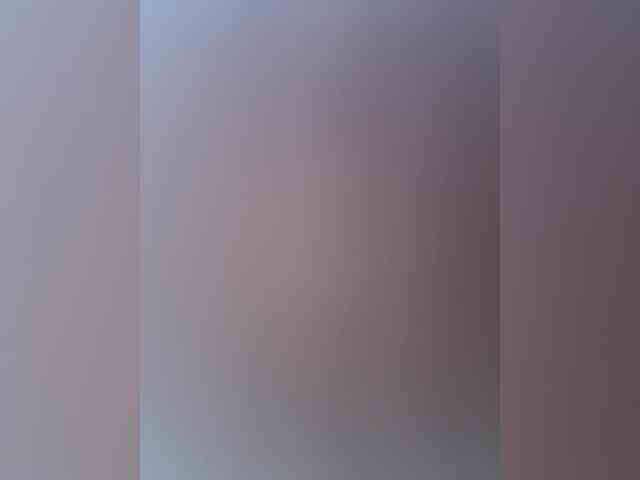 Skill1211 webcam