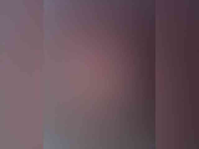 Skill1211 webcam