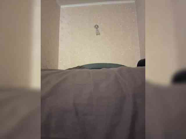 Skill1211 webcam