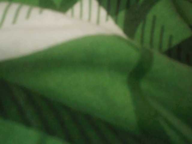 go to chat with EVA123RUS