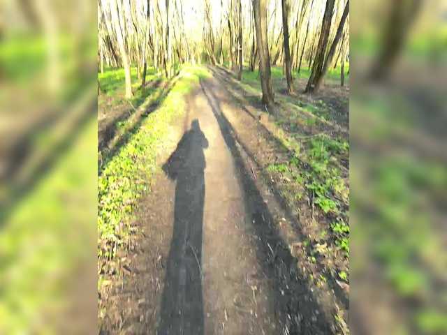 MissKriss1's BongaCams show and profile