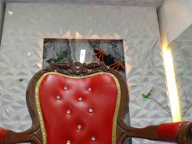 Lily-Rouse webcam