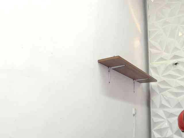 Lily-Rouse webcam