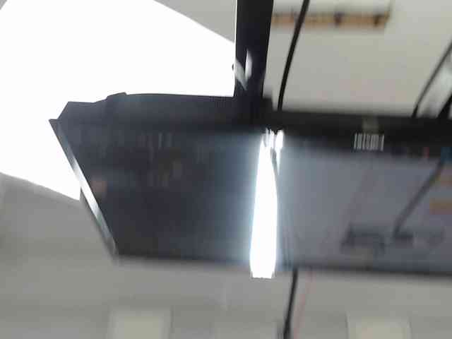 Lily-Rouse webcam