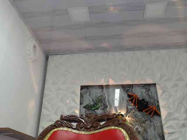 Lily-Rouse webcam