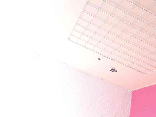 mabelsweet303av webcam