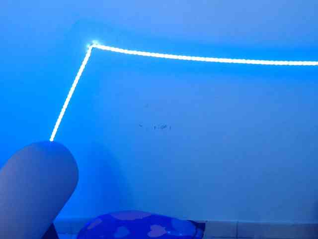 nikky1 webcam