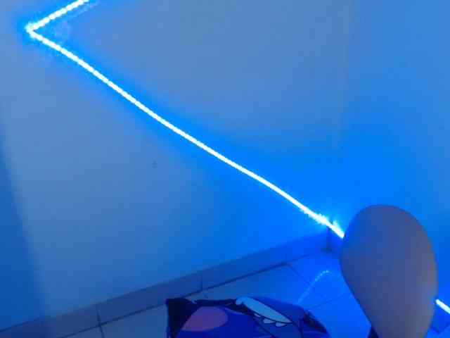 nikky1 webcam