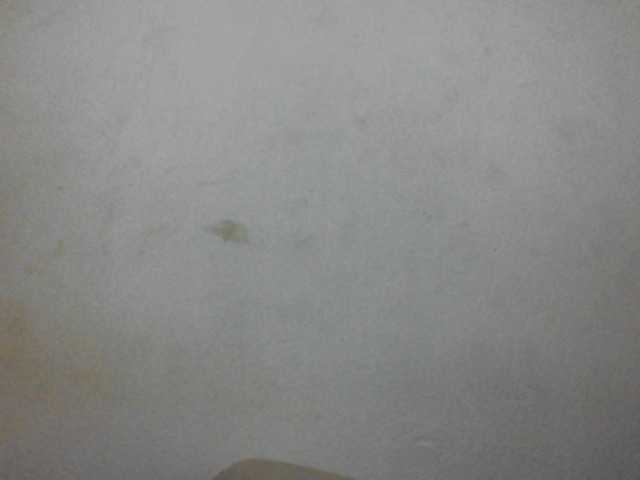 Cutie12 from BongaCams