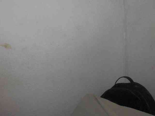 Cutie12 webcam