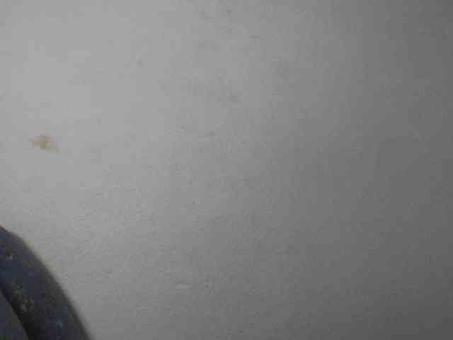 Cutie12 webcam