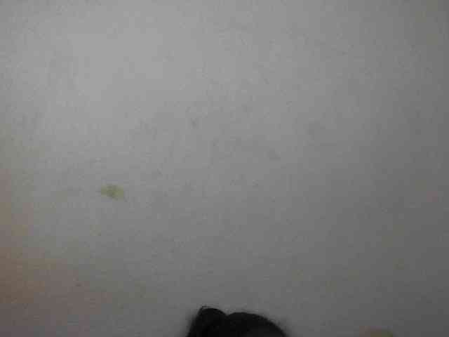 Cutie12 webcam