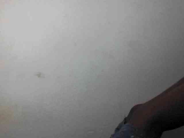 Cutie12 webcam