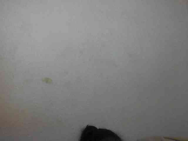 Cutie12 webcam