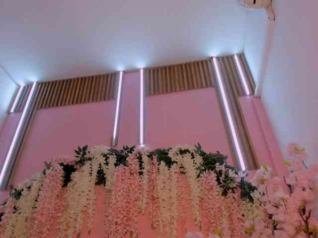 VivianneHart VivianneHart