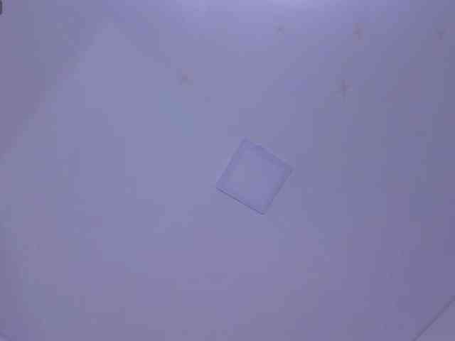VivianneHart webcam