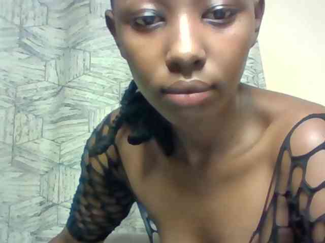 Electriceve webcam