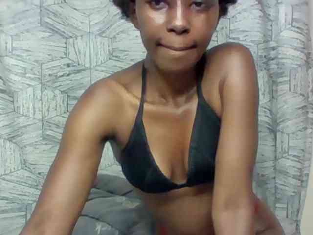Electriceve webcam