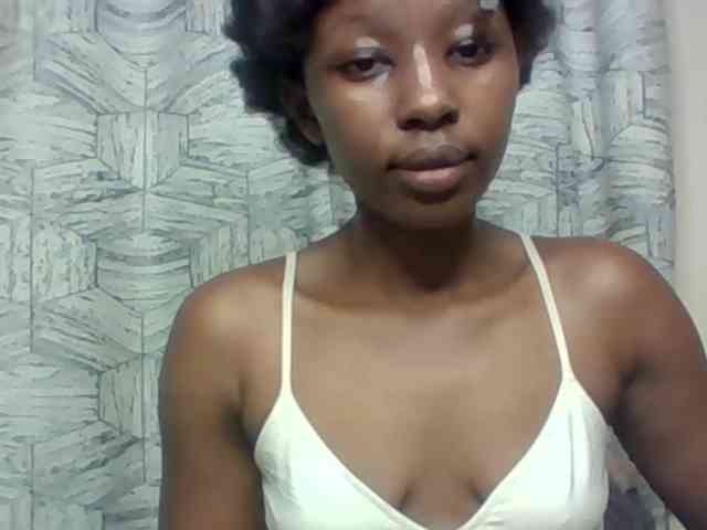 Electriceve webcam