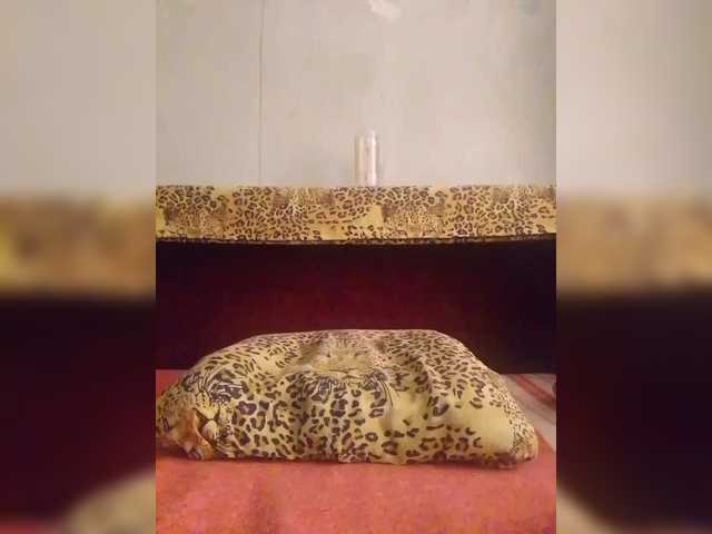 BabyKirochka's BongaCams show and profile