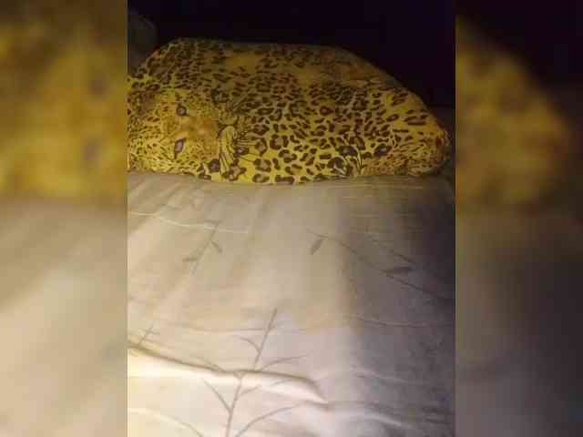 BabyKirochka Live Webcam on BongaCams