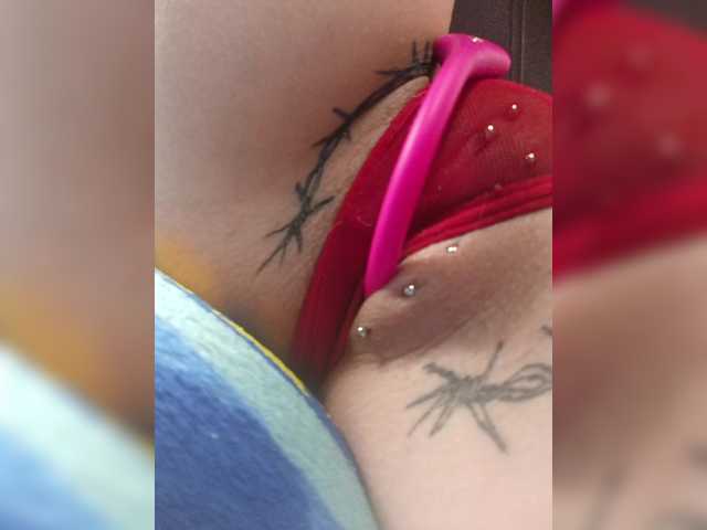 BongaCams RedFox9595 RedFox9595 from BongaCams