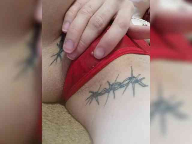 RedFox9595 webcam