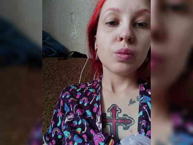 RedFox9595 RedFox9595