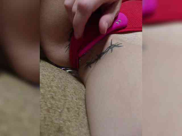 RedFox9595 webcam