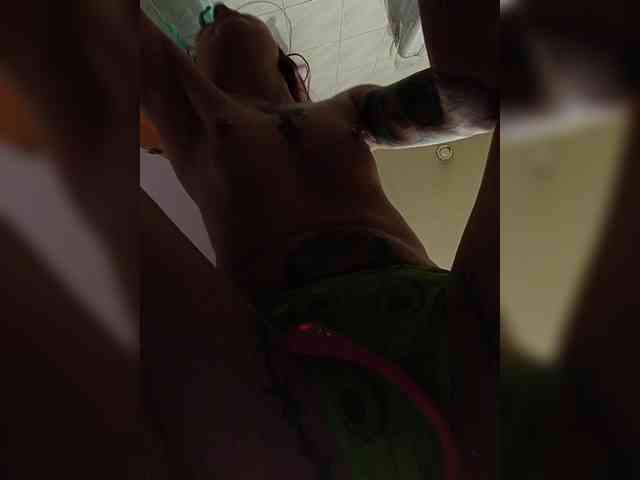 RedFox9595 webcam