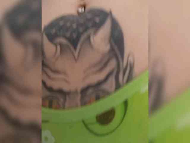 RedFox9595 webcam