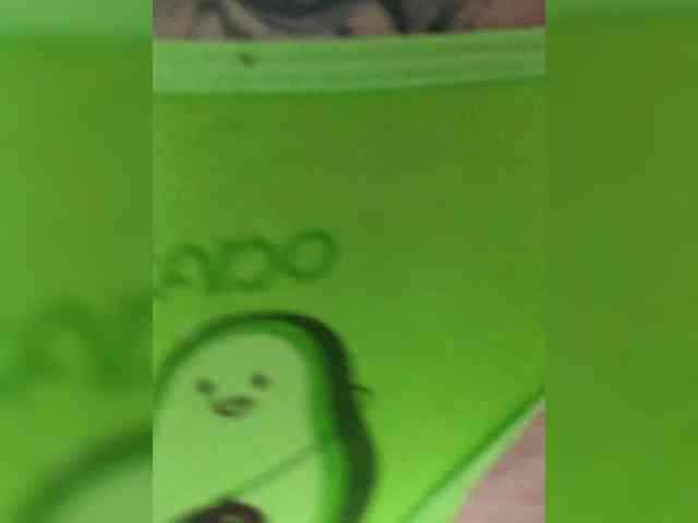 RedFox9595 RedFox9595